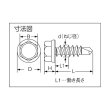 画像2: TRUSCO ドリルネジ ヘックス ユニクロ M6X25 19本入 174-9404 (2)